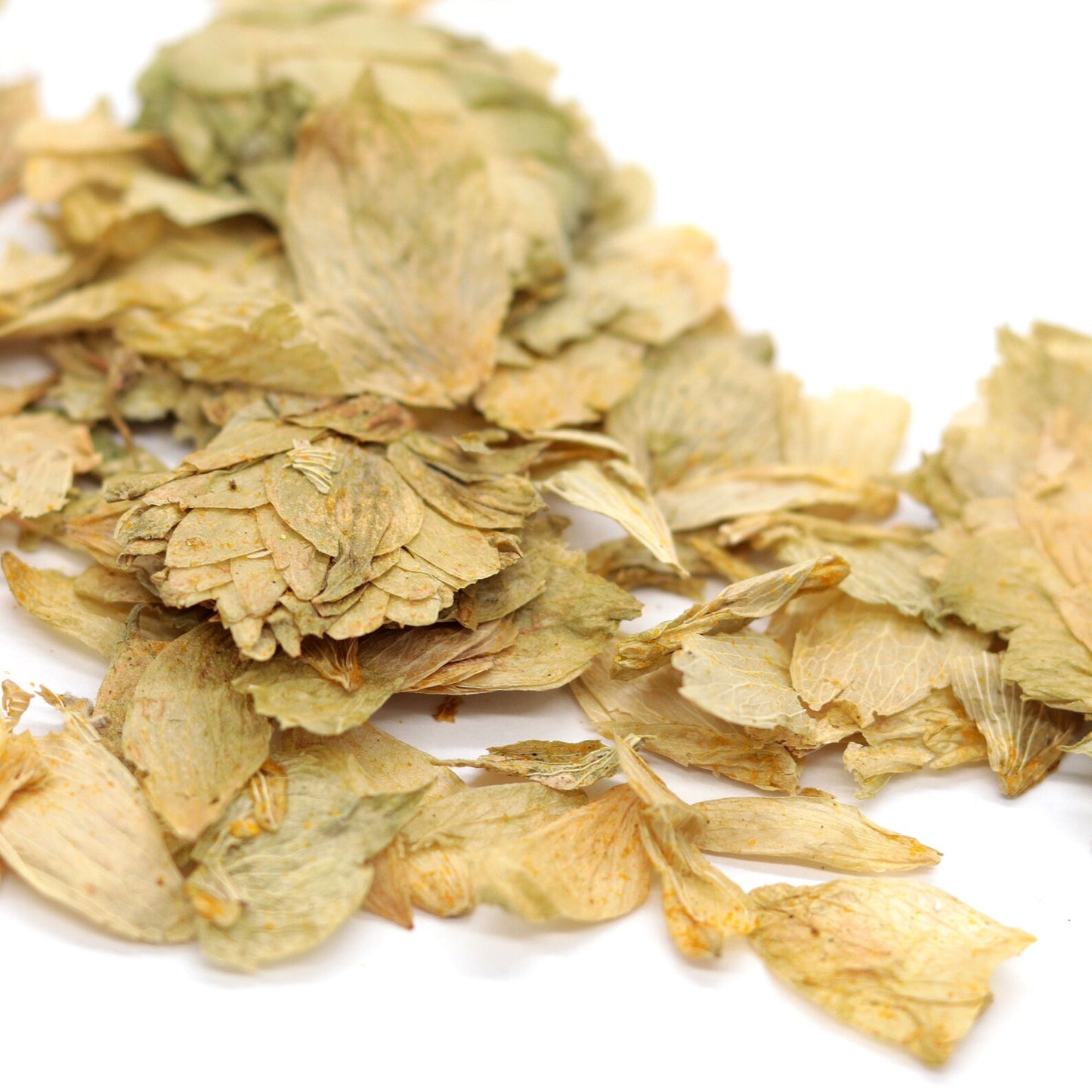 Hops Whole