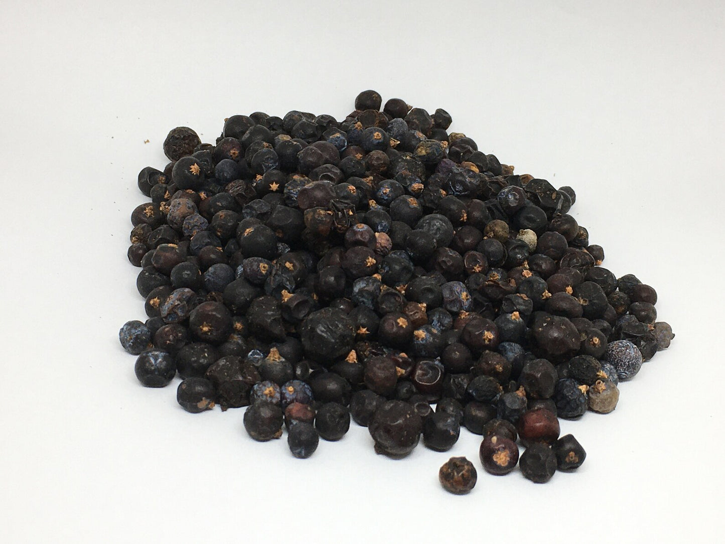 Juniper Berry