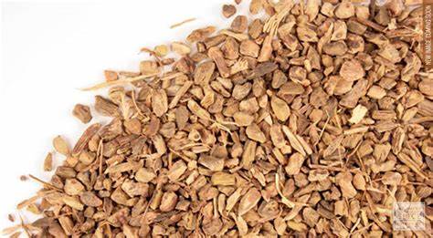 Yellowdock Root