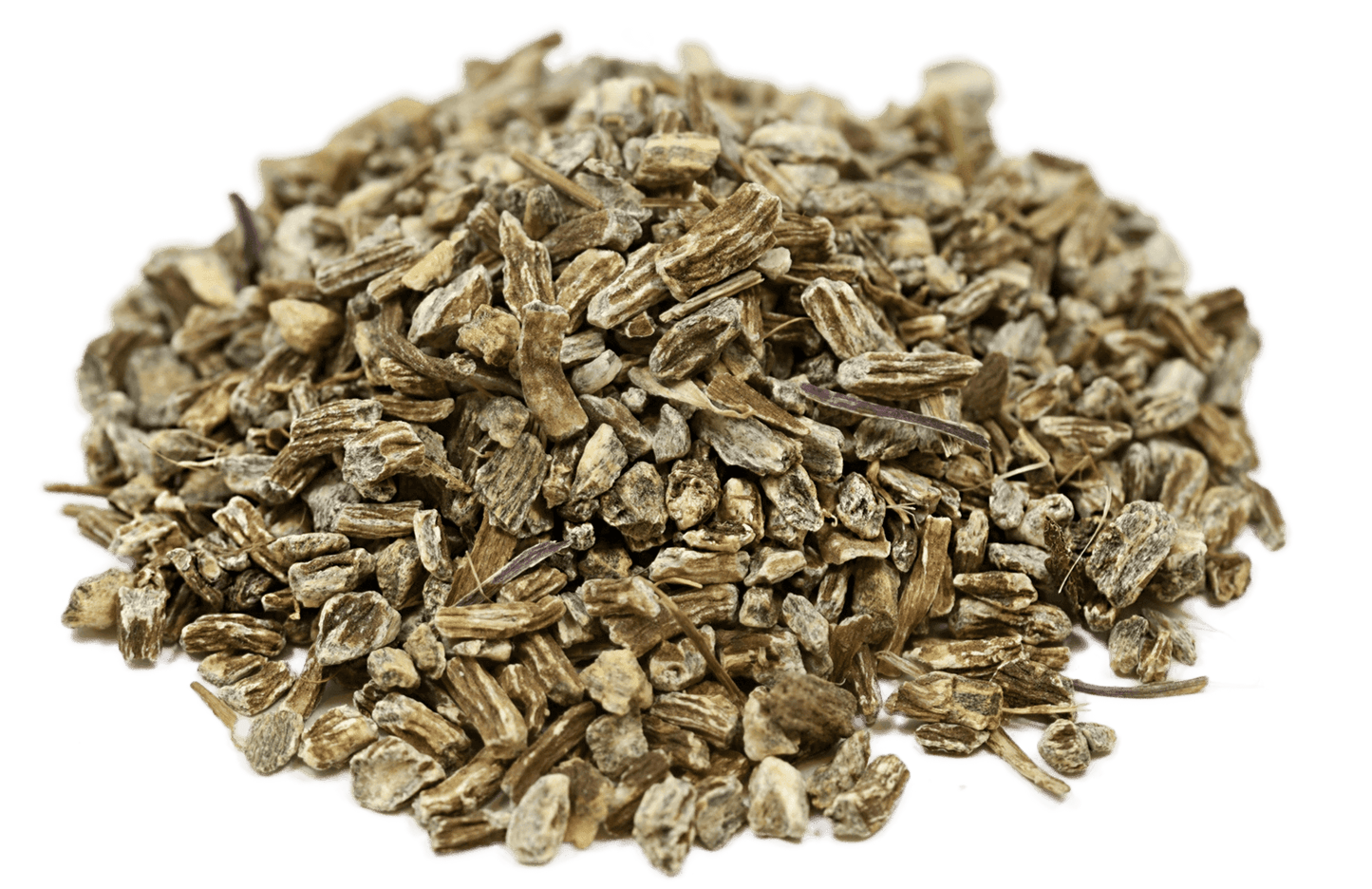 Echinacea Root